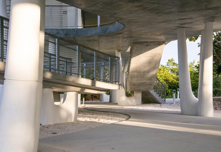 The Discovery Center rests on 49 tapered columns that represent the mangrove roots.