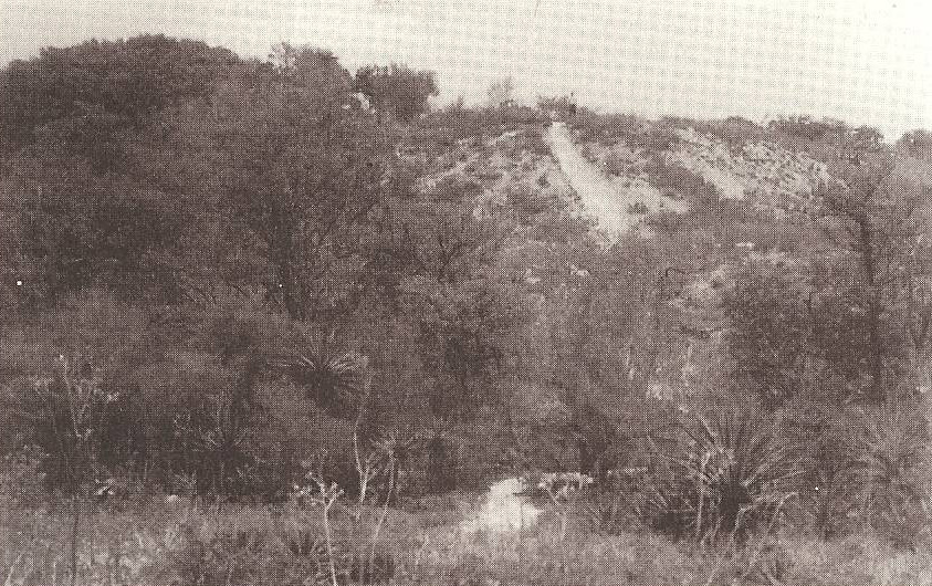 A black and white photo of the view from the top of one of the mounds.