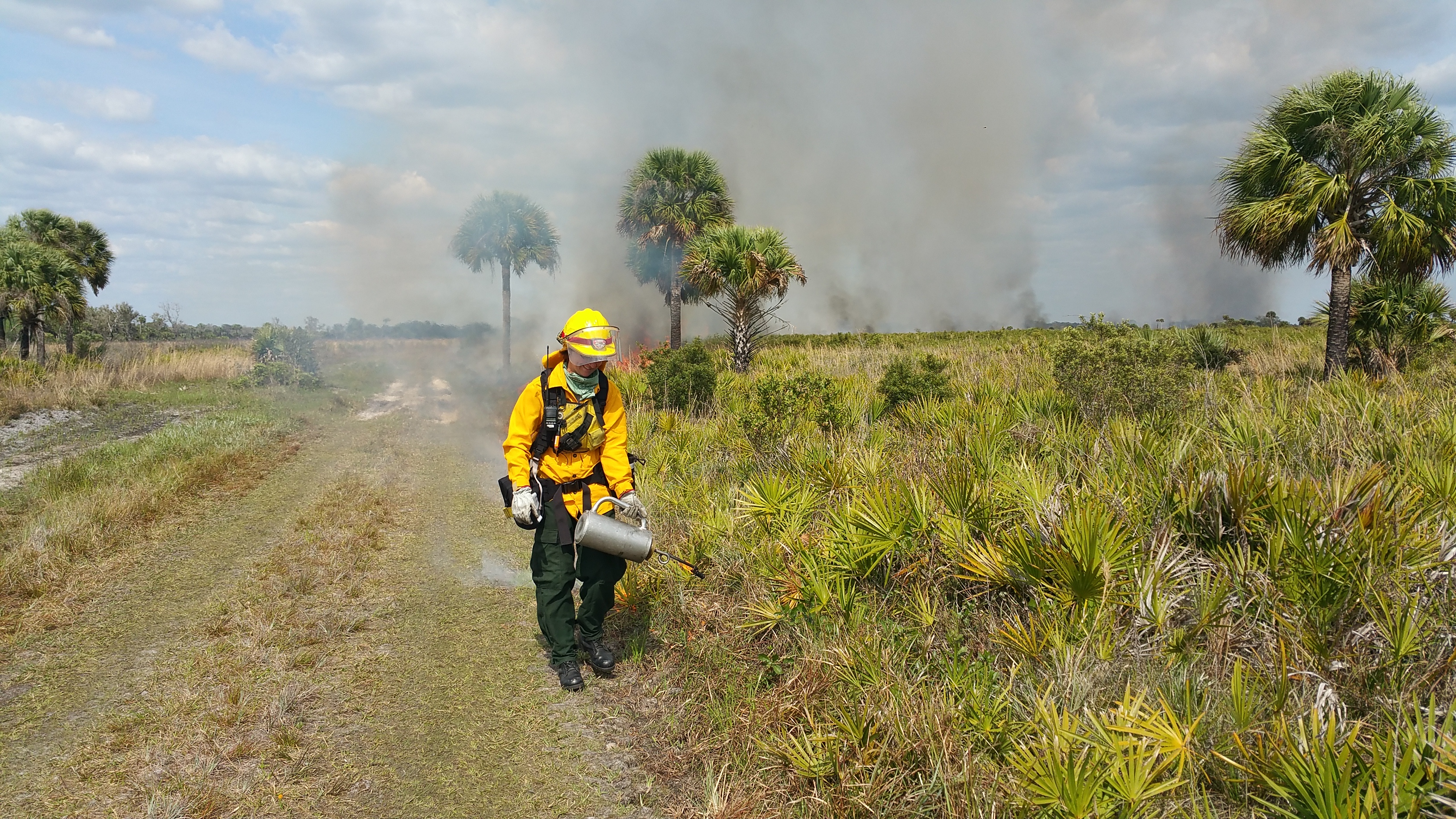 A ranger begins a carefully prescribed fire with a drip torch
