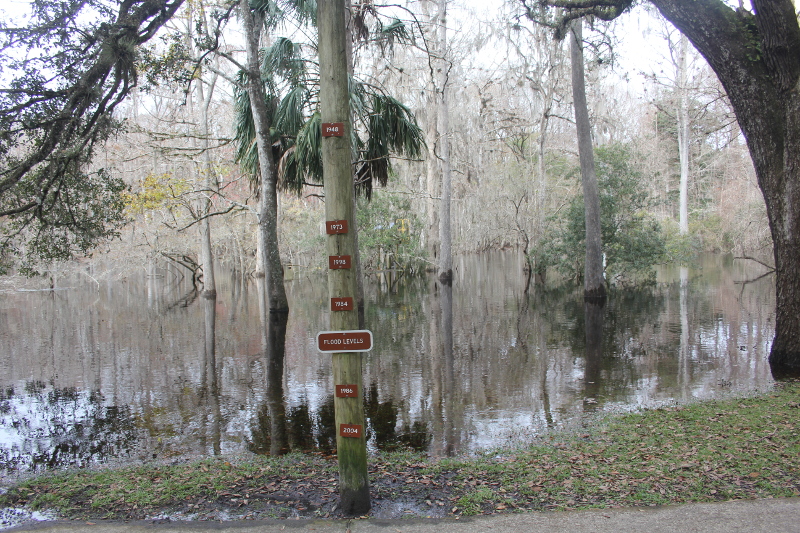 image of the historic water levels signs at manatee springs. From high to low are the years 1948, 1973, 1998, 1984, 1986, and 2004.
