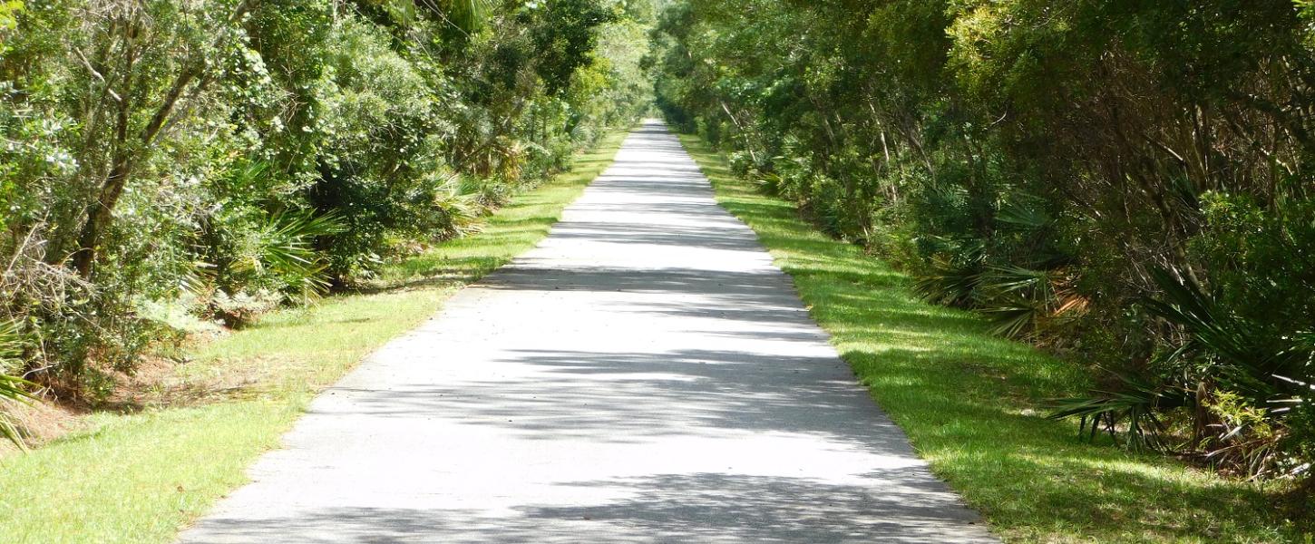 Open paved trail is bordered by lush green vegetation. 