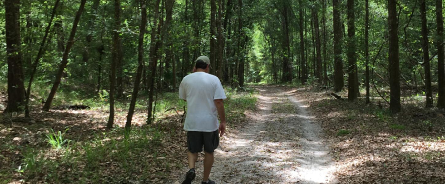 a man walks down a dirt trail in a green forest