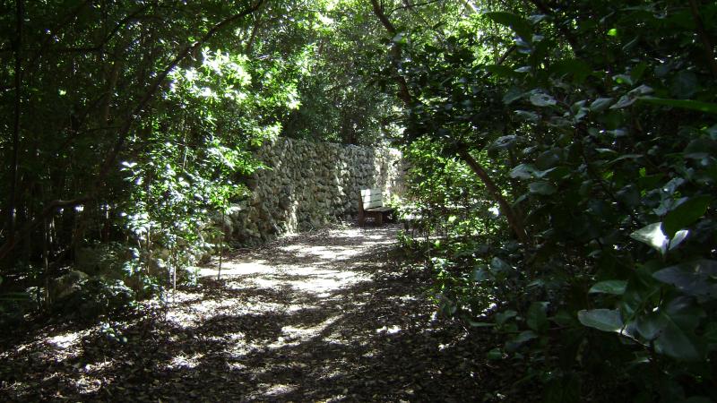 Nature Trail at Dagny Johnson