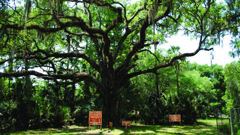 Find A Park Florida State Parks