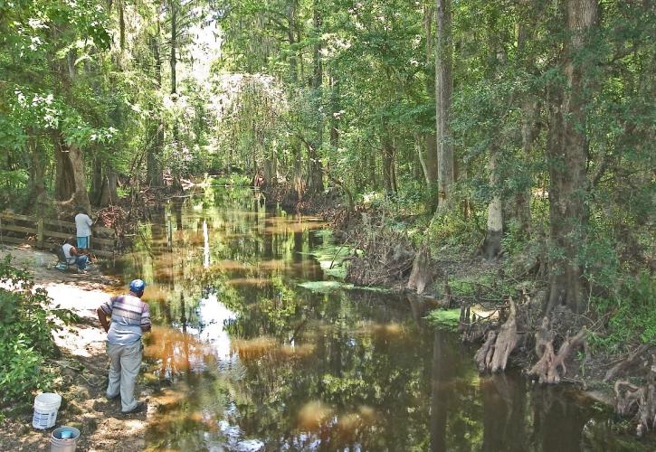 People fishing at Prairie Creek