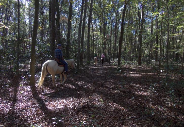 River Rise Preserve Riders on Trails
