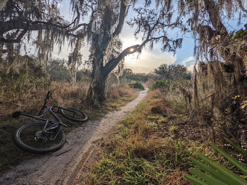 Mountain Biking