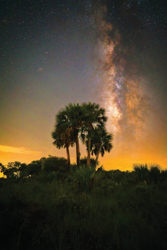 The Milky Way Over Kissimmee Prairie