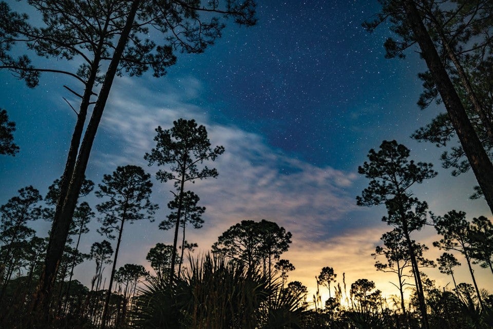 Stars Welcoming the Morning Sky