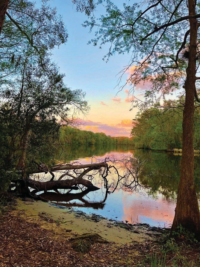 Colors of the Creek