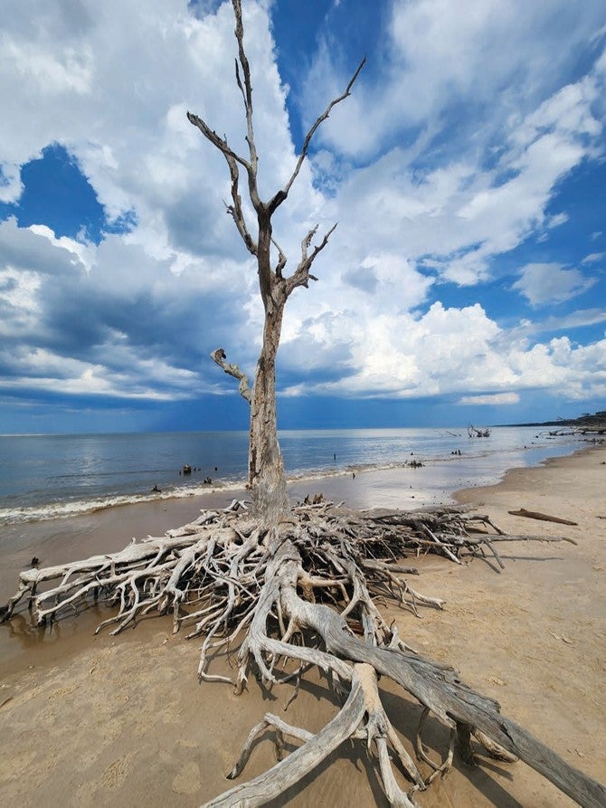 Boneyard Beach