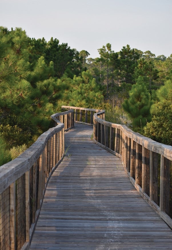 Peaceful Trail