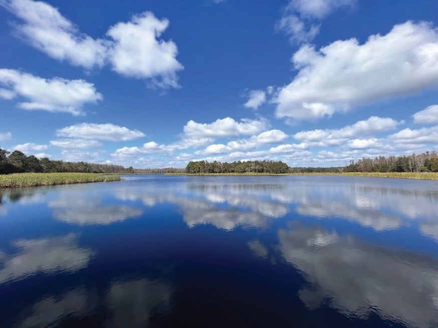 Colt Creek Mirror