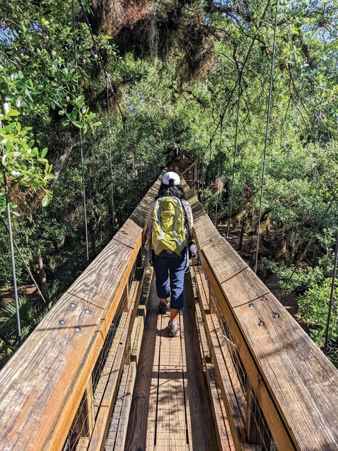 The Canopy Walkway