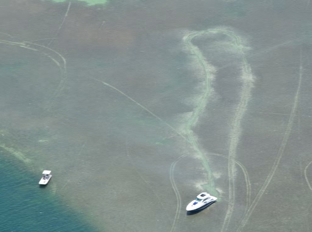 An aerial photo showing propellor scars on seagrass beds.