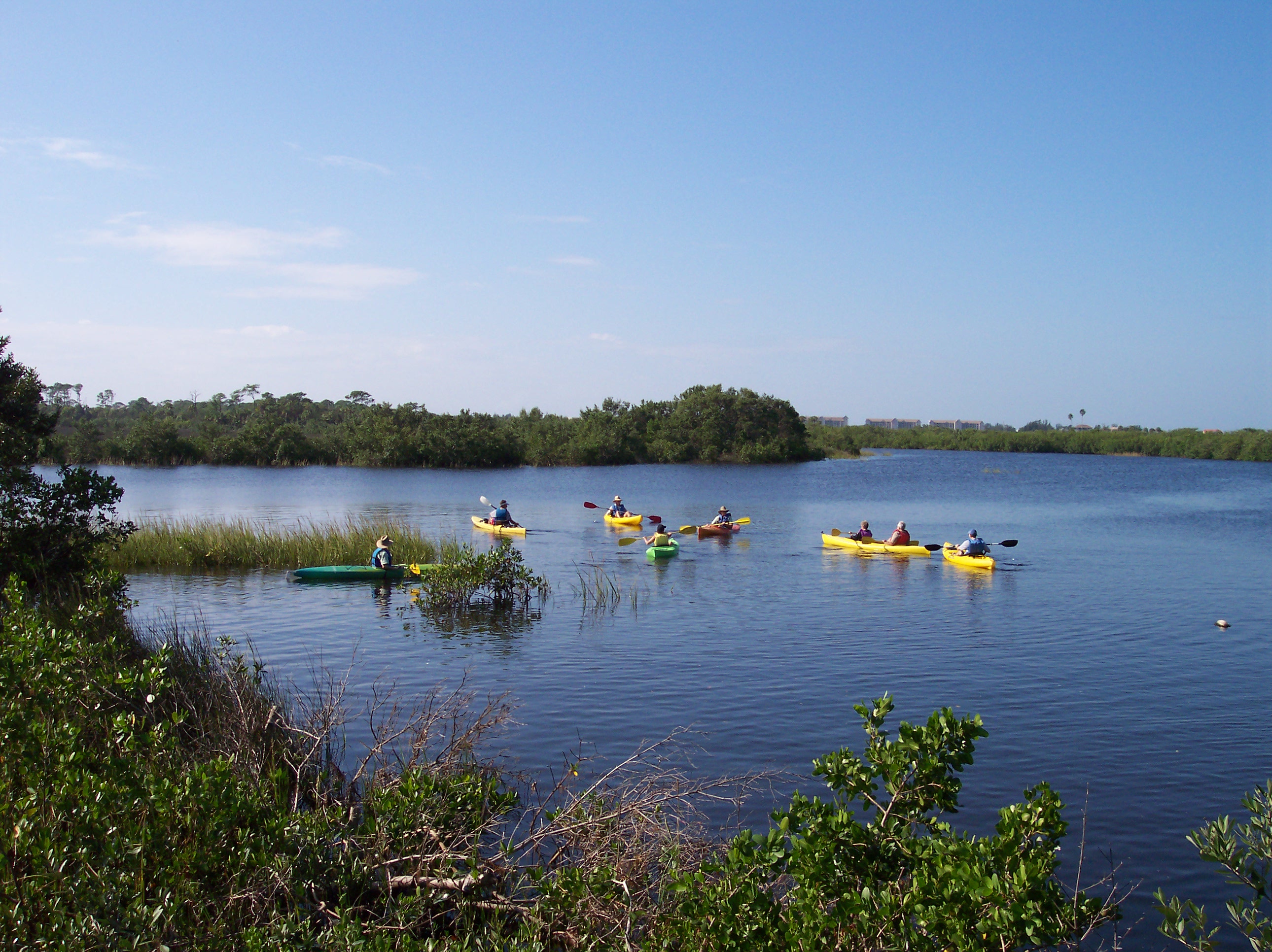 A group of kayakers out on the water.