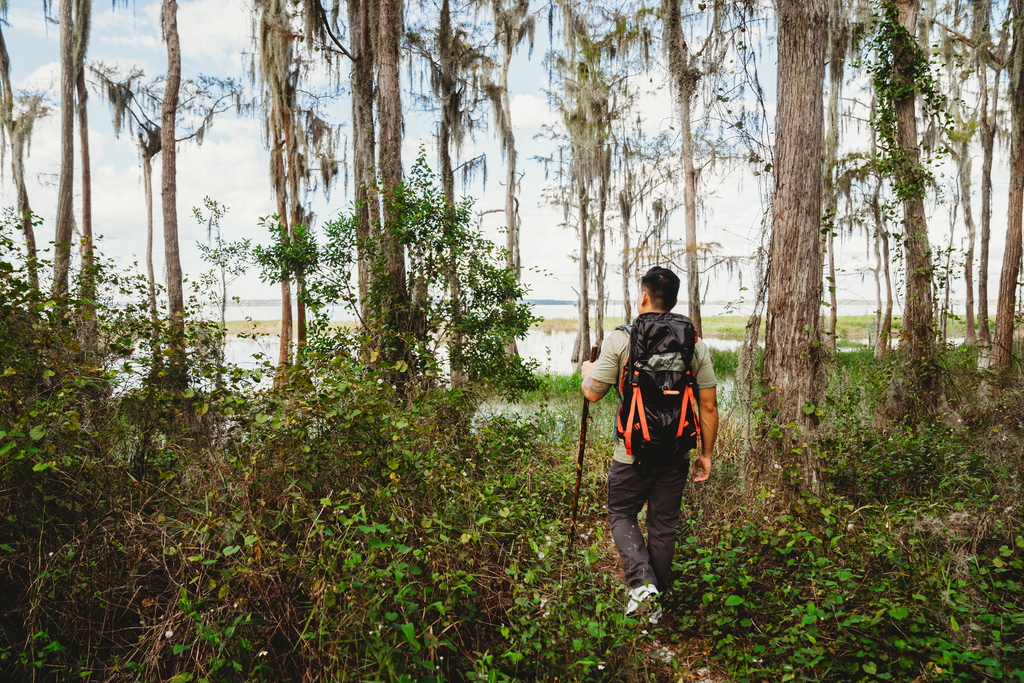 Hiking through the woods