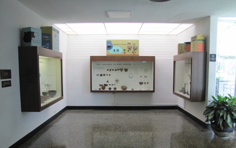 Exhibits inside a museum with a plotted plant and sunlight coming in through a window.