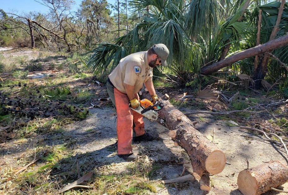 A park ranger using a chainsaw to clear some fallen trees.