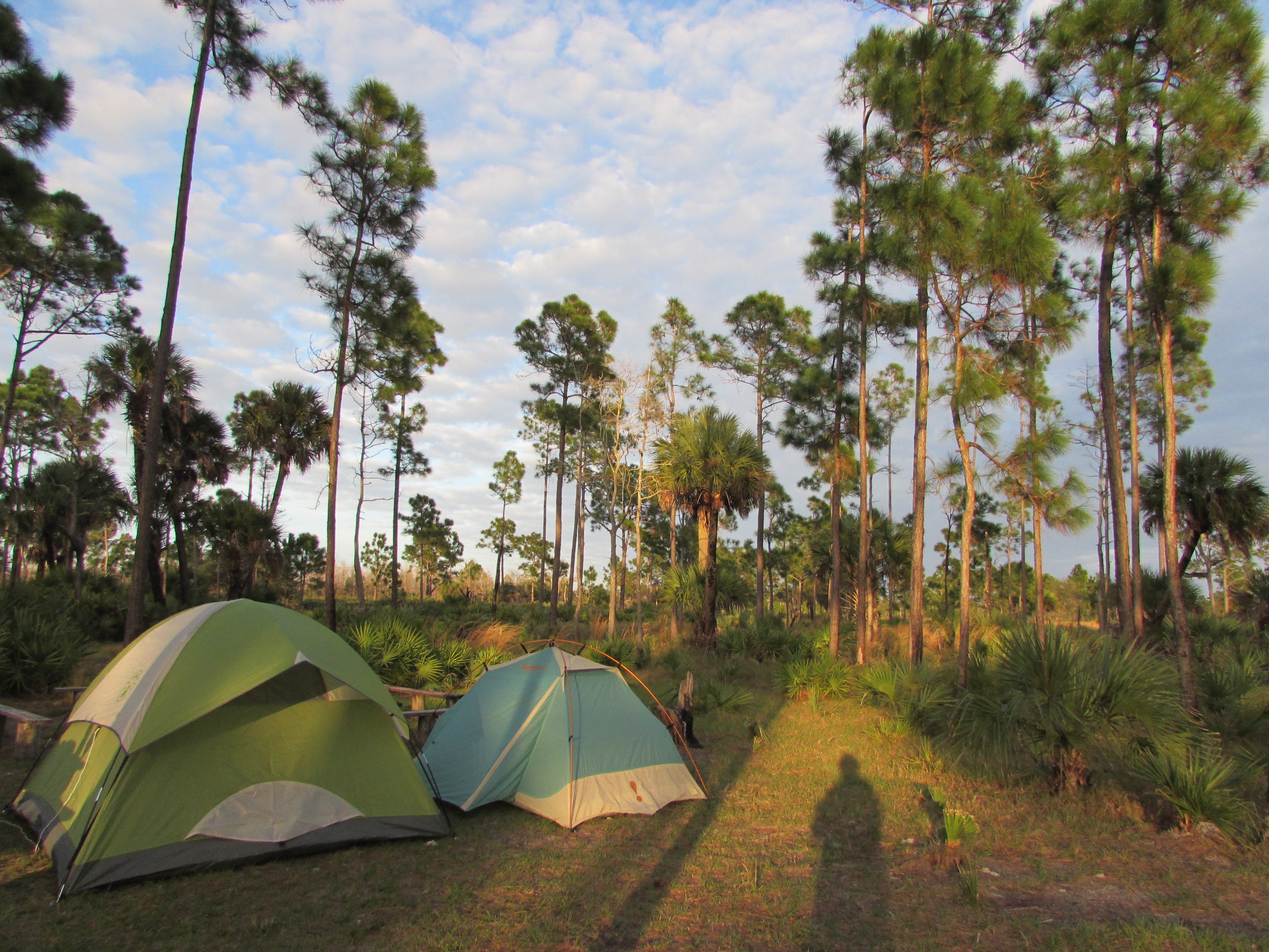 Only camping. Кемпинг в лесу. Camping State Parks. Camping what is it. Пляж с пальмами картинки.