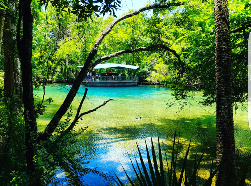 Image of the current observatory and springs at Homosassa Springs State Park.