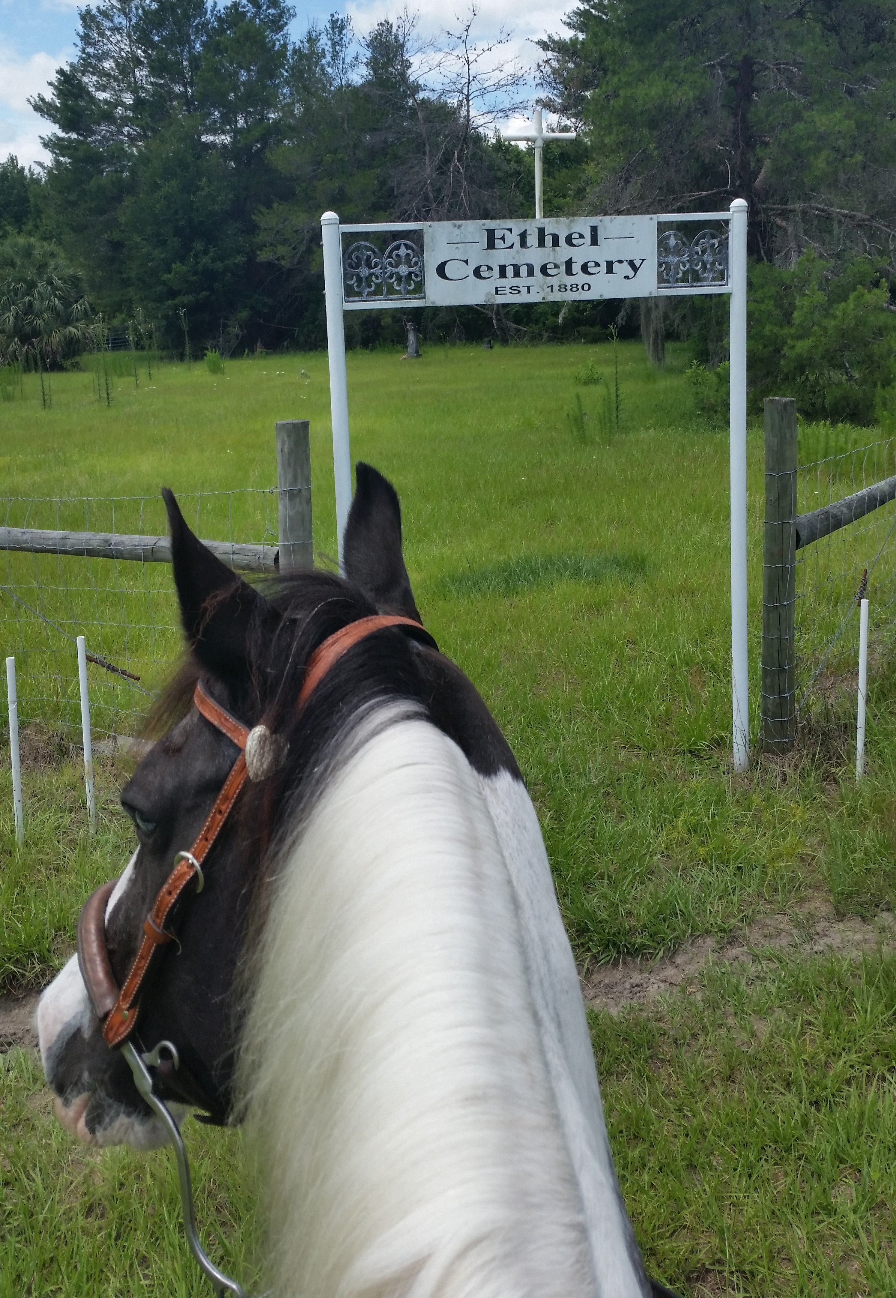 Ethel Cemetery Rock Springs Run