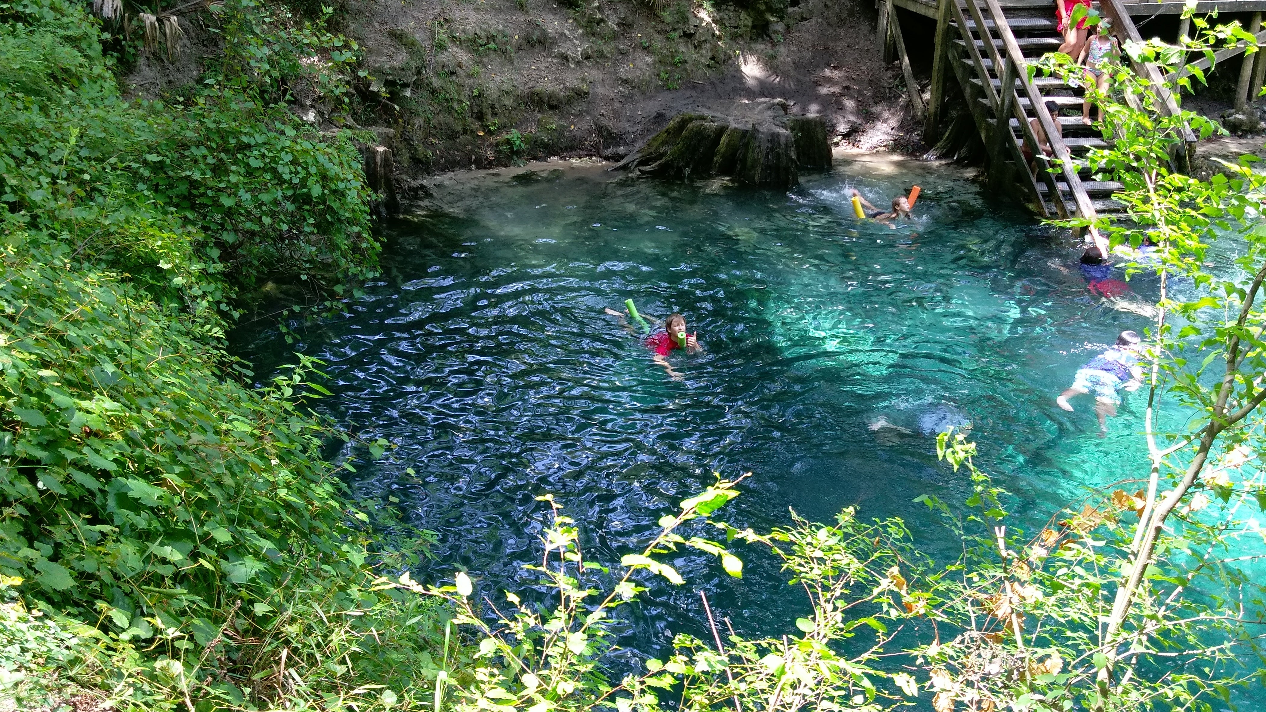 Swimming at Madison Blue Spring