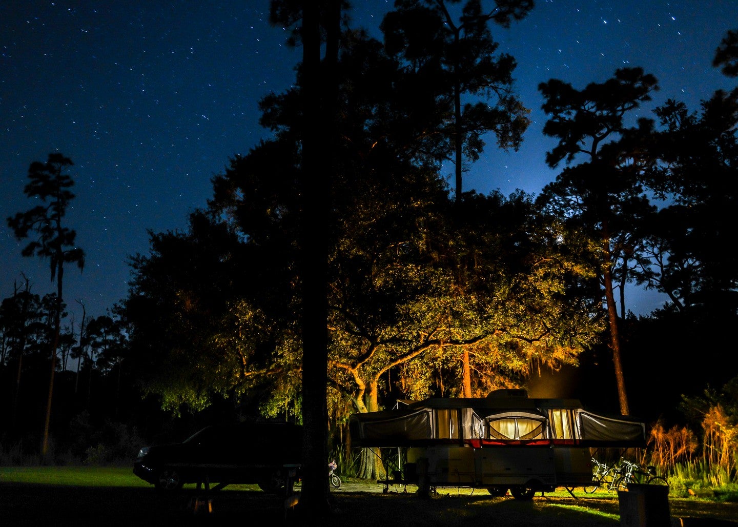 Camping at Highlands Hammock