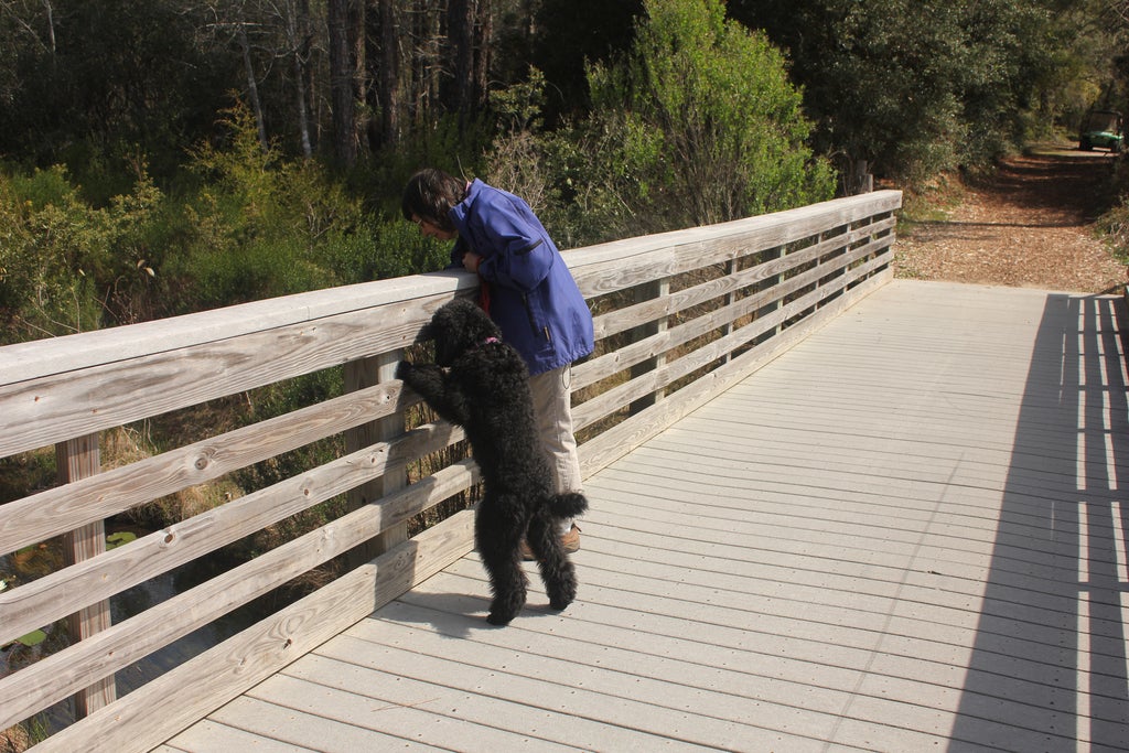 Trails at Rocky Bayou