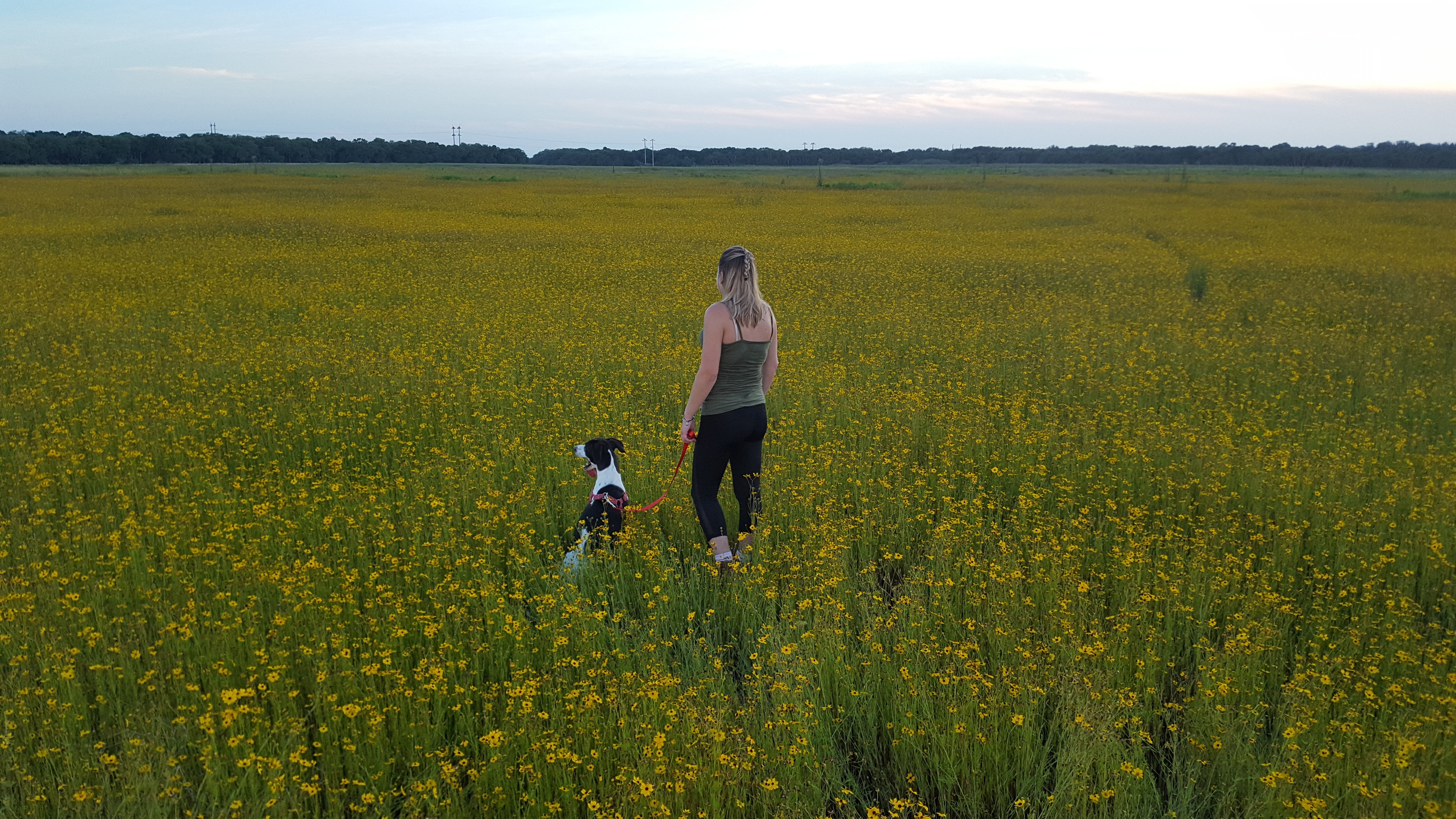 Myakka Prairie