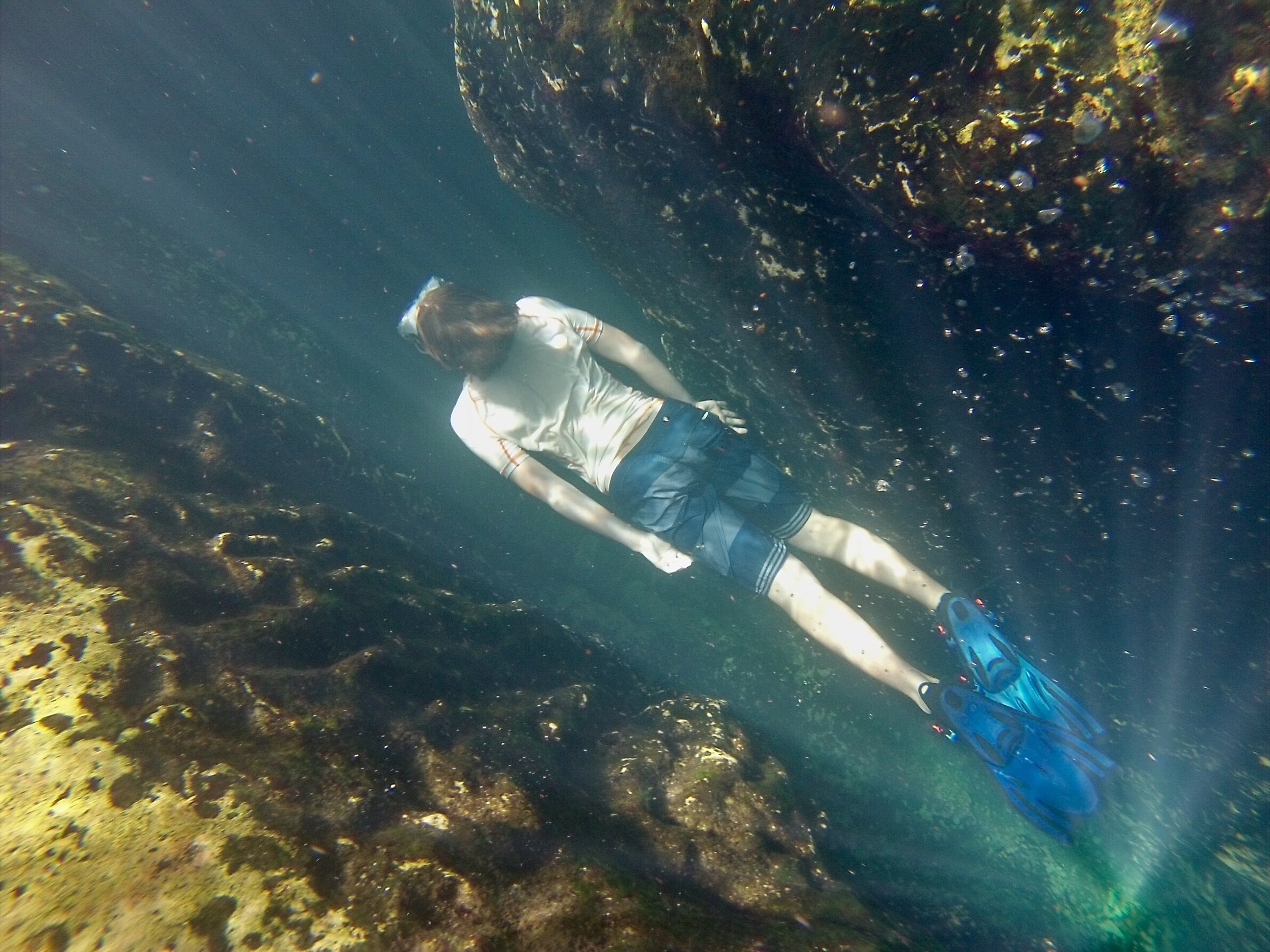 Diver at Wekiwa Springs