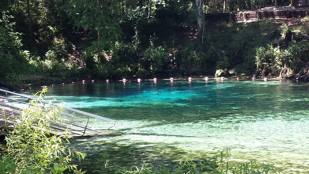 Swim Area at Manatee