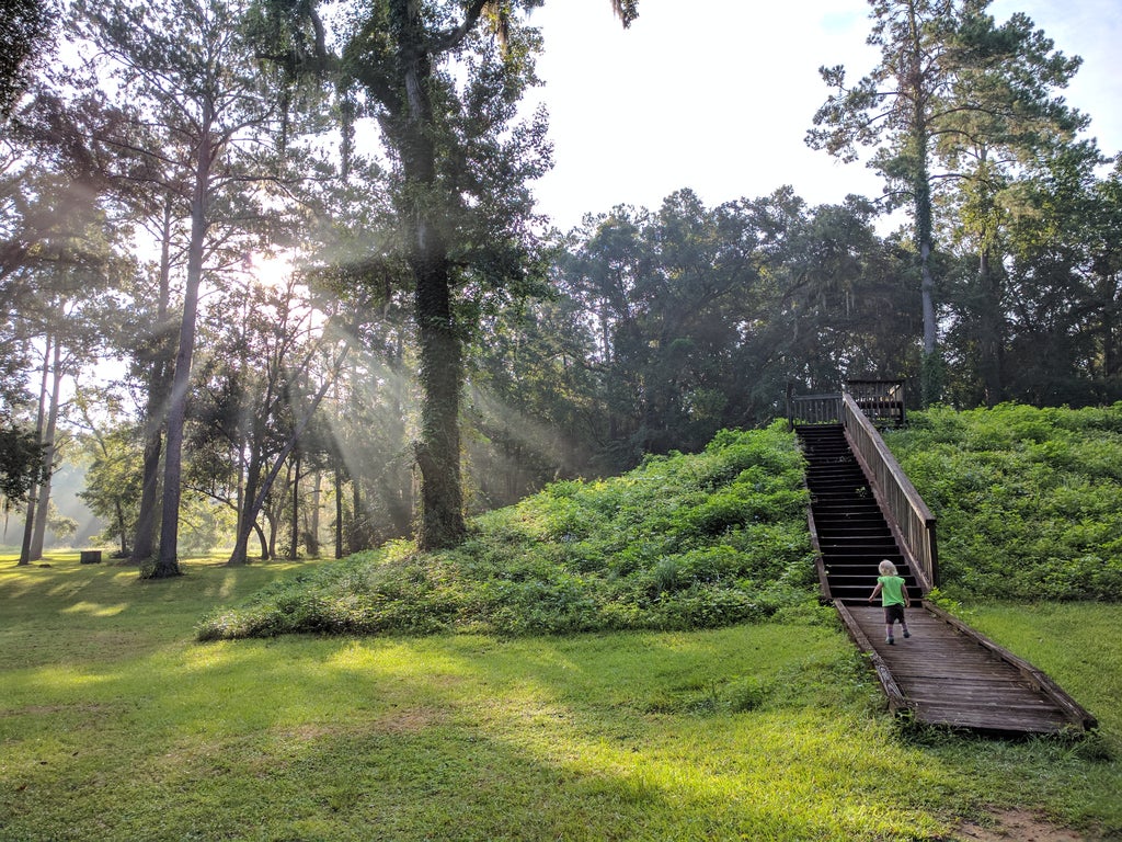 A child walks up the boardwalk onto a mound at Lake Jackson Mounds.