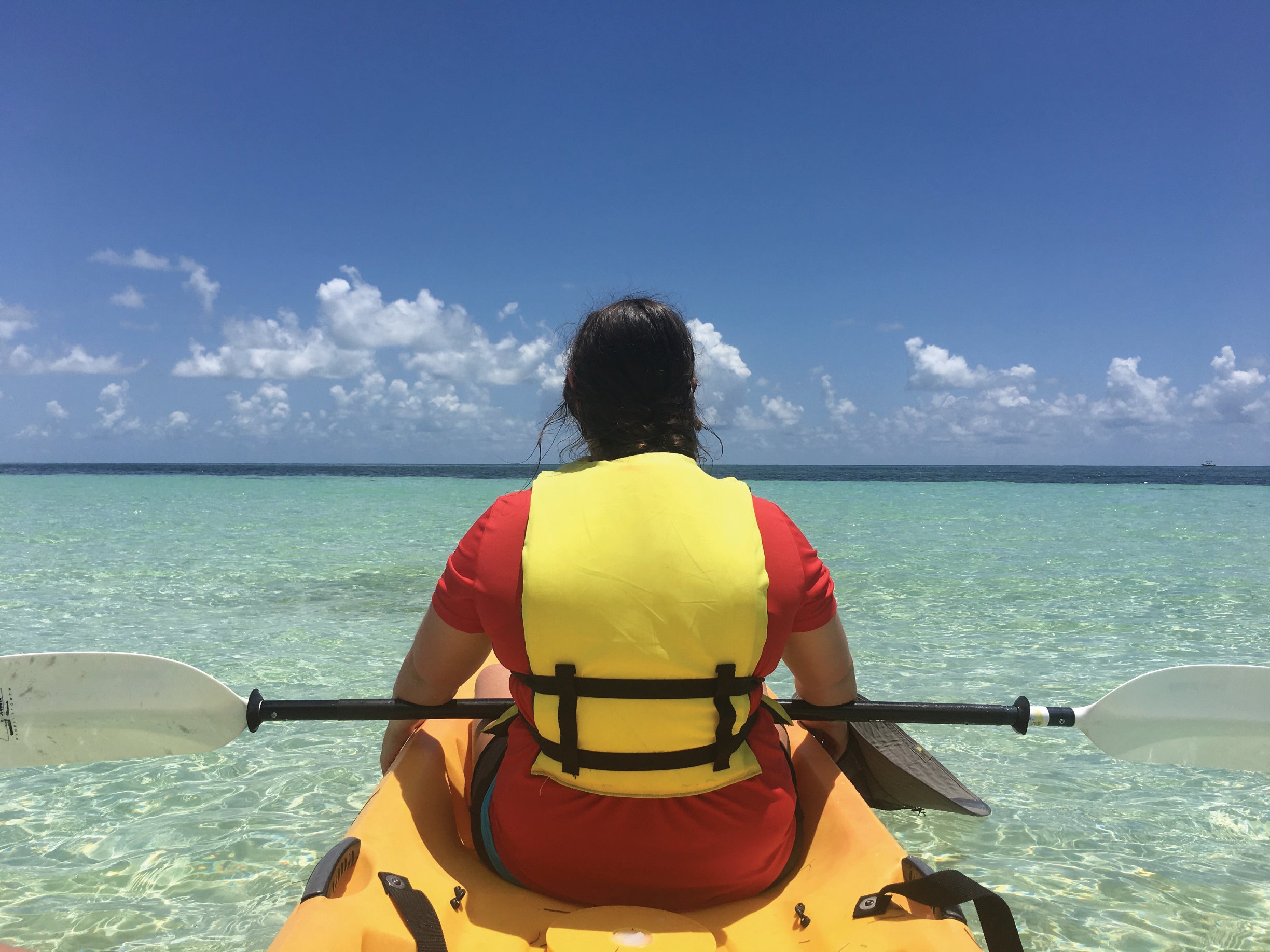 Visitor Paddling