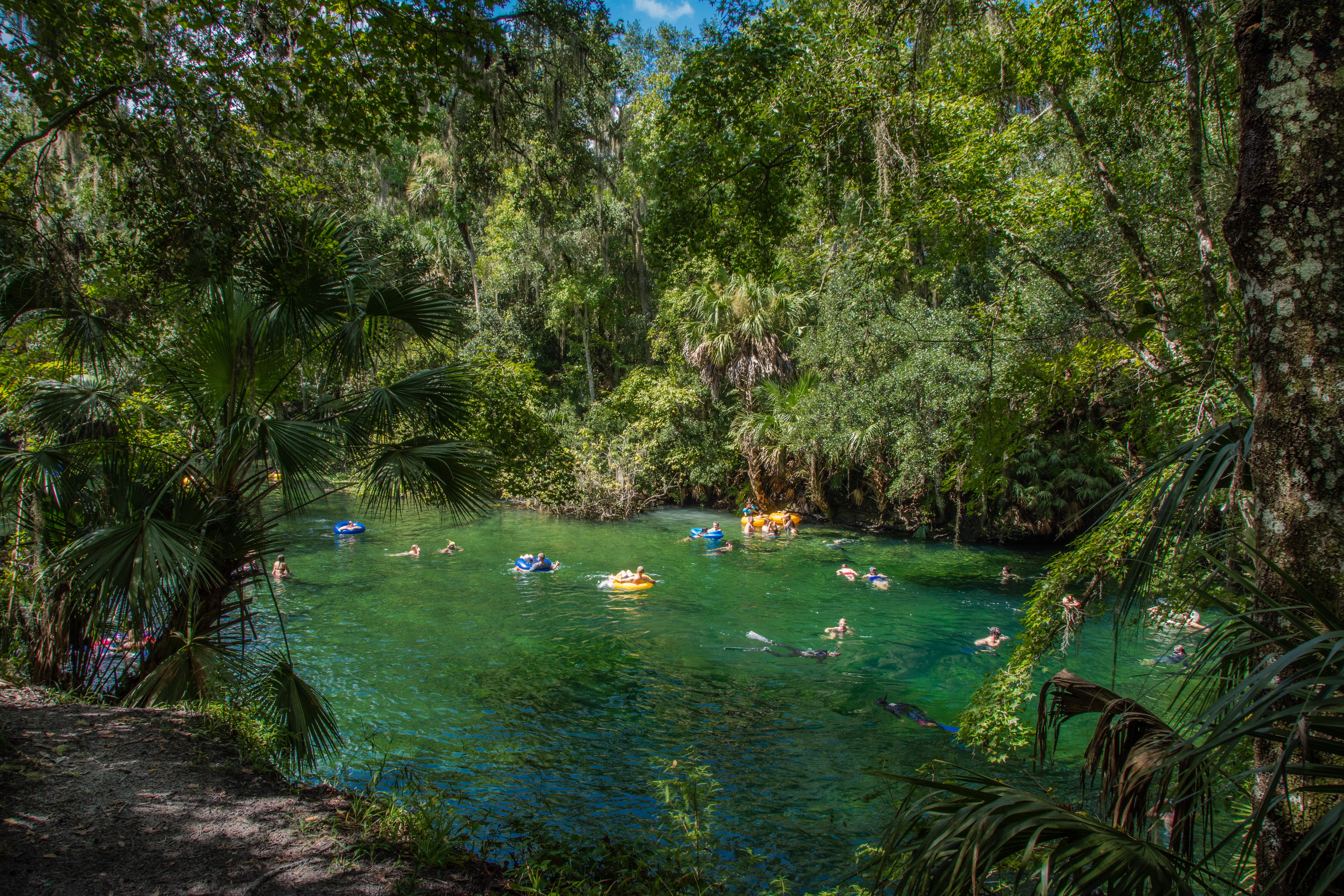 Tubers and snorkelers at Blue Spring