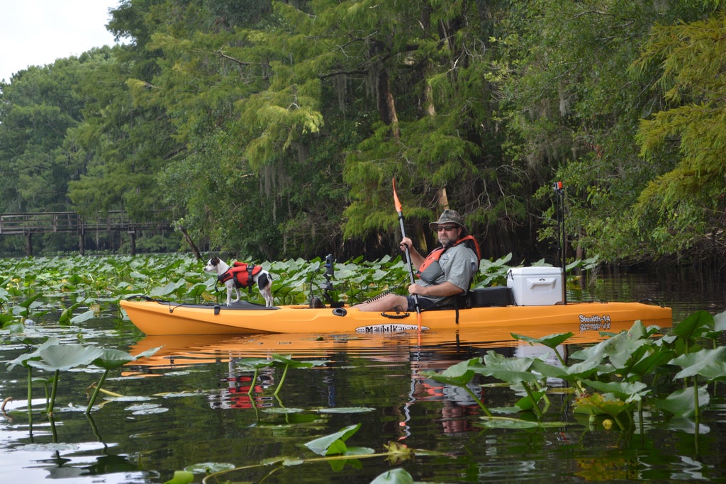 Paddling at Manatee Springs