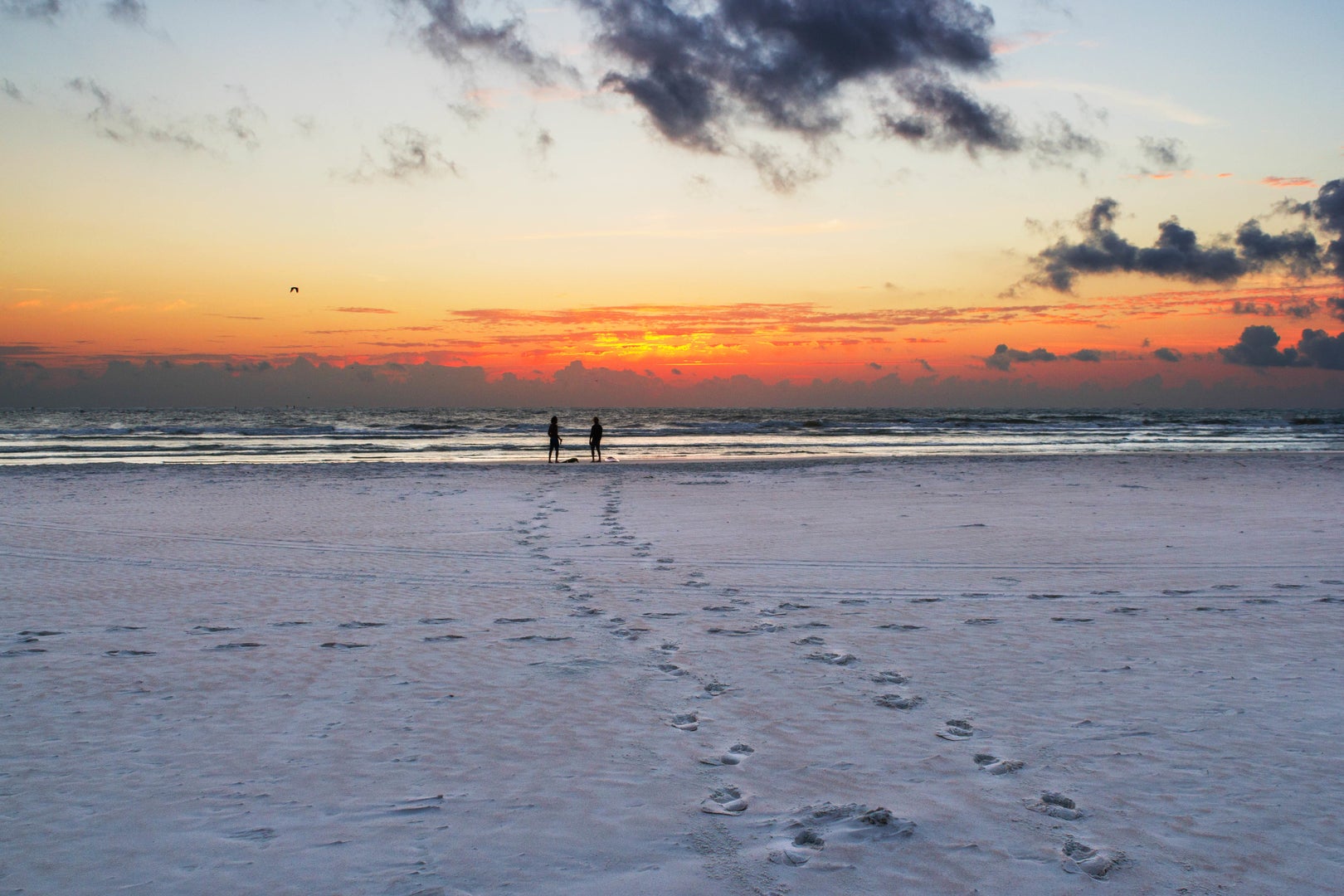 Beach at Avalon