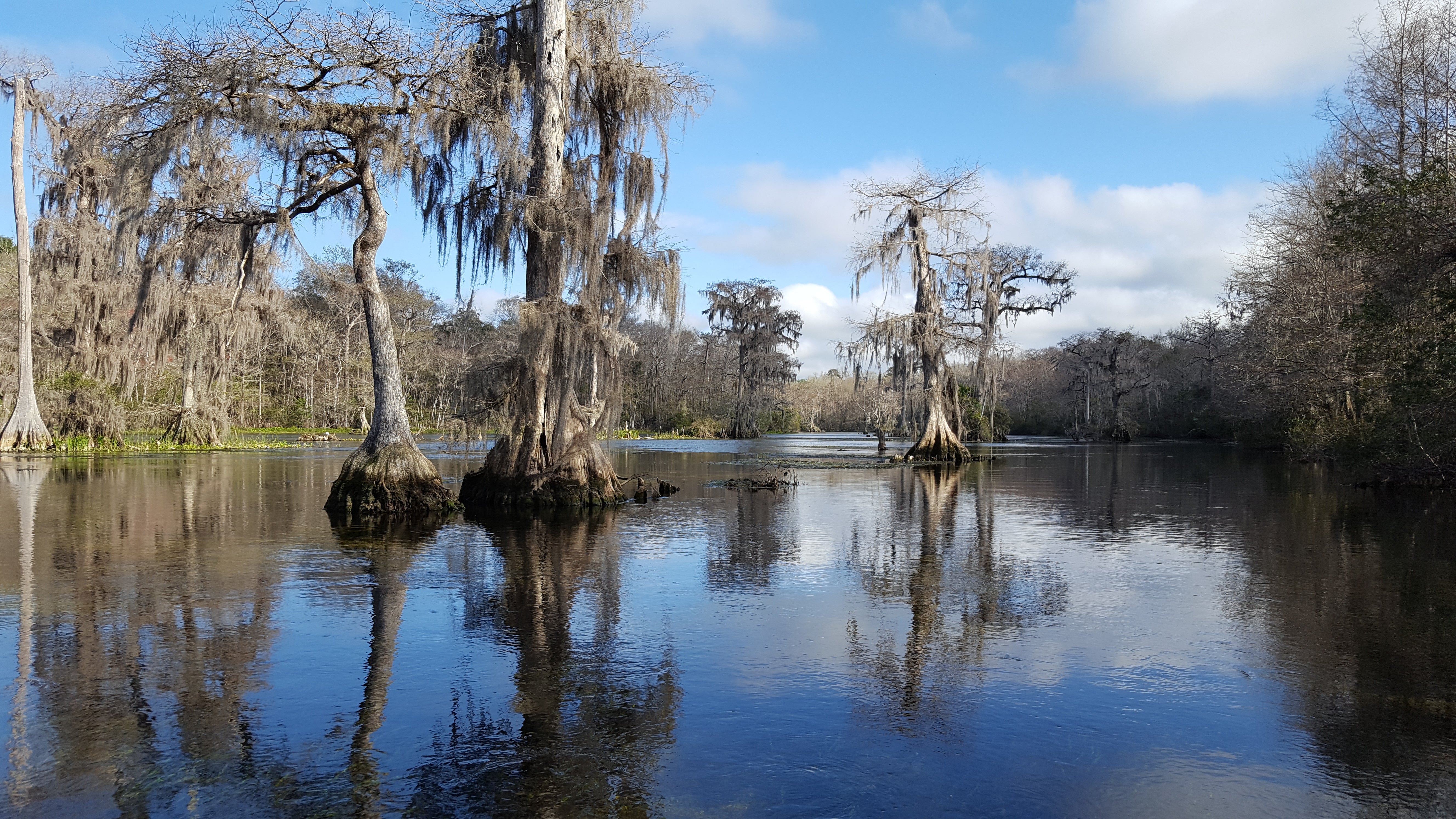 Geology of Edward Ball Wakulla Springs State Park | Florida State Parks