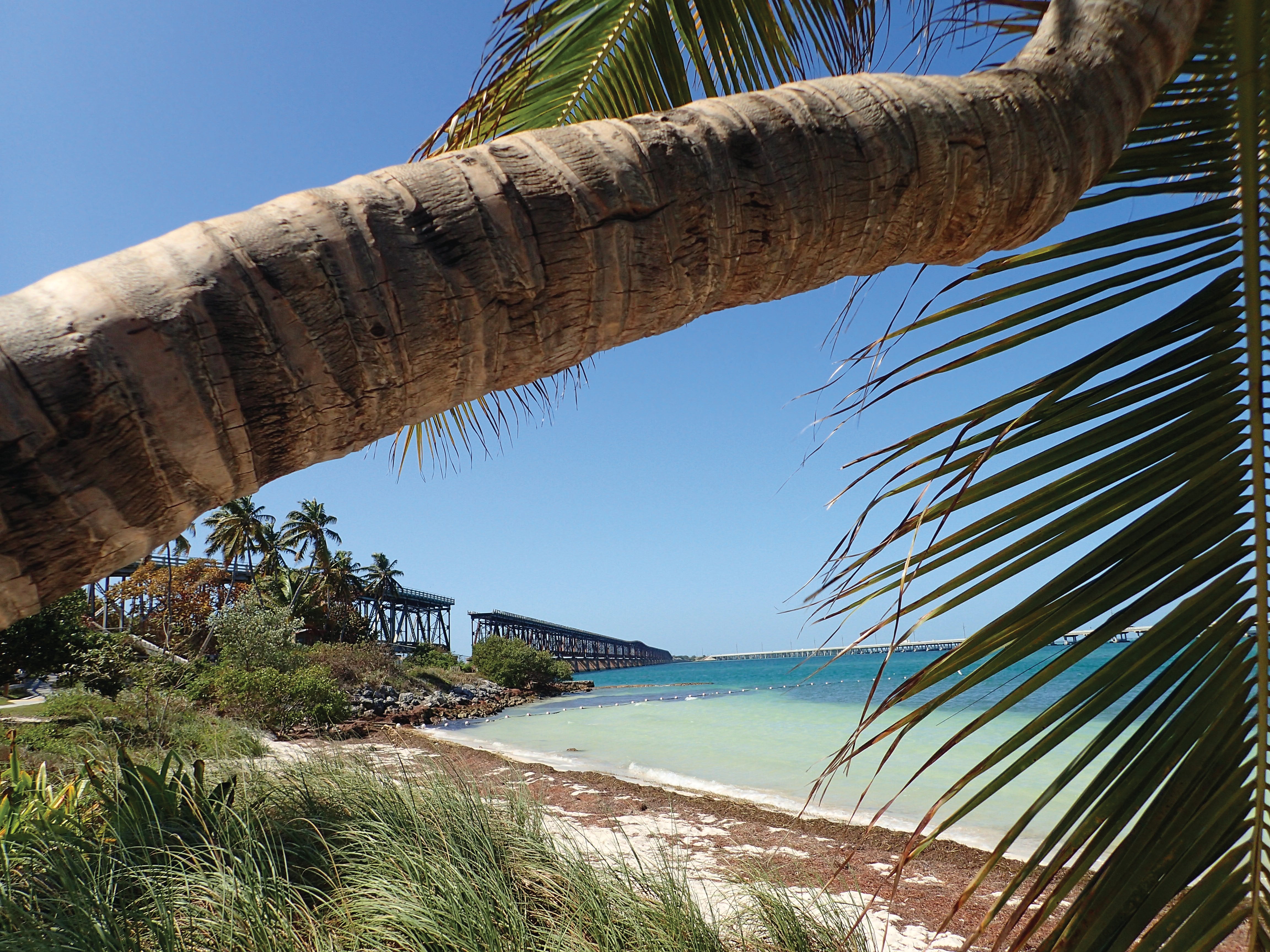 www.floridastateparks.org