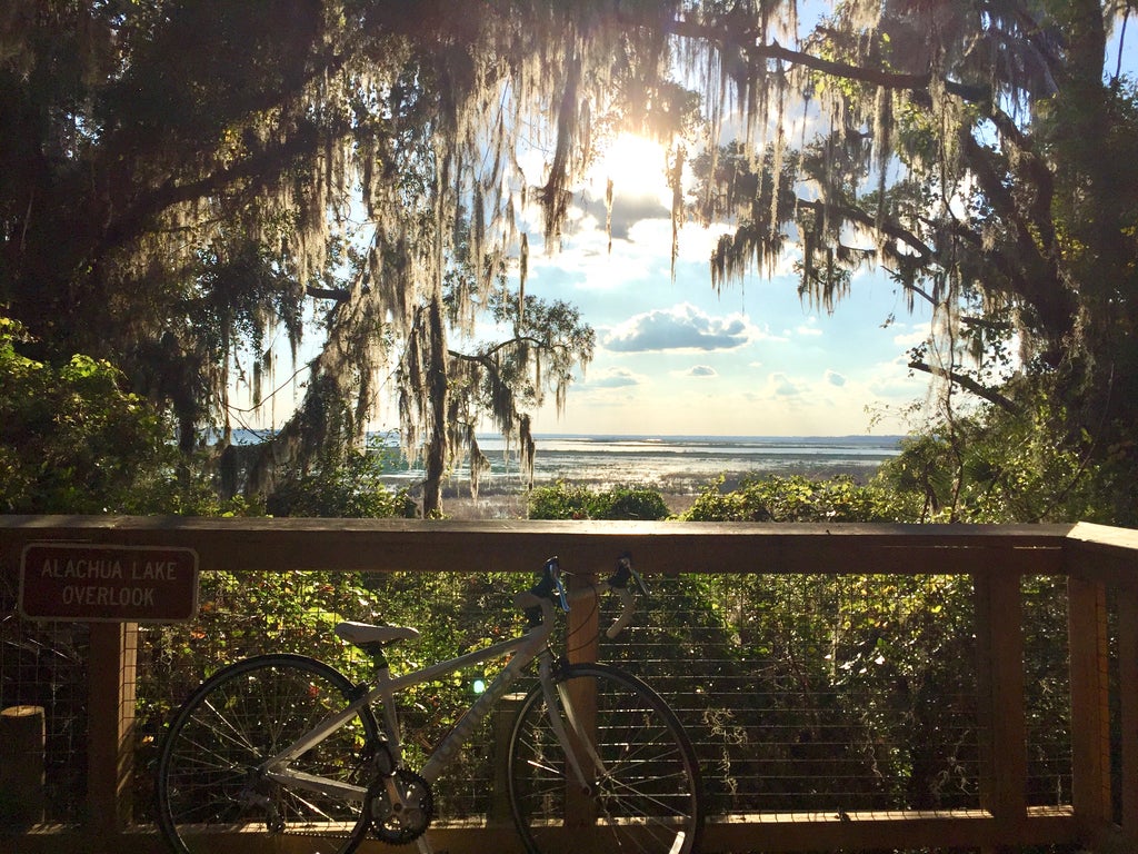 Alachua Lake Overlook