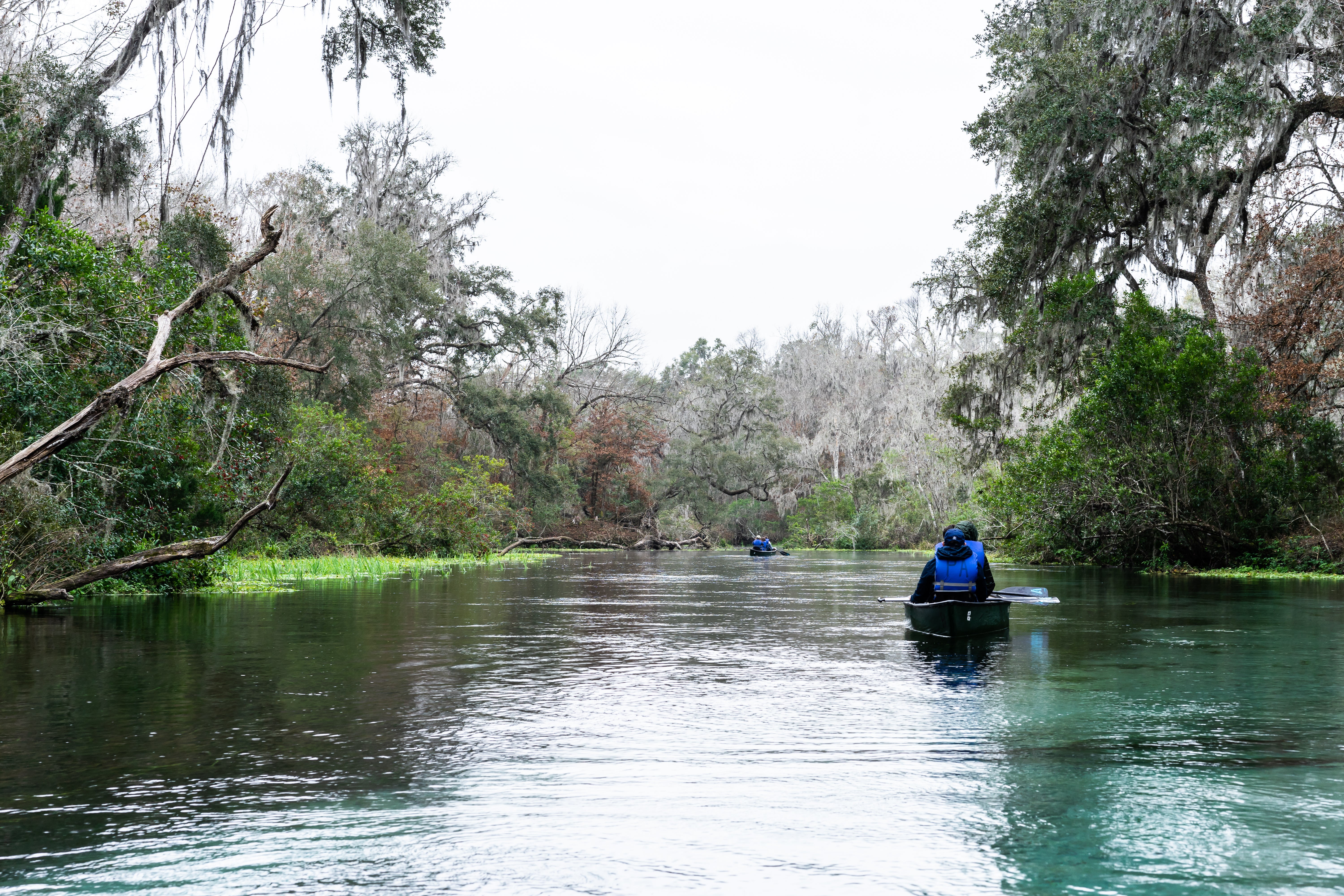 Visitors paddle in canoes in Ichetucknee Springs State Park. 