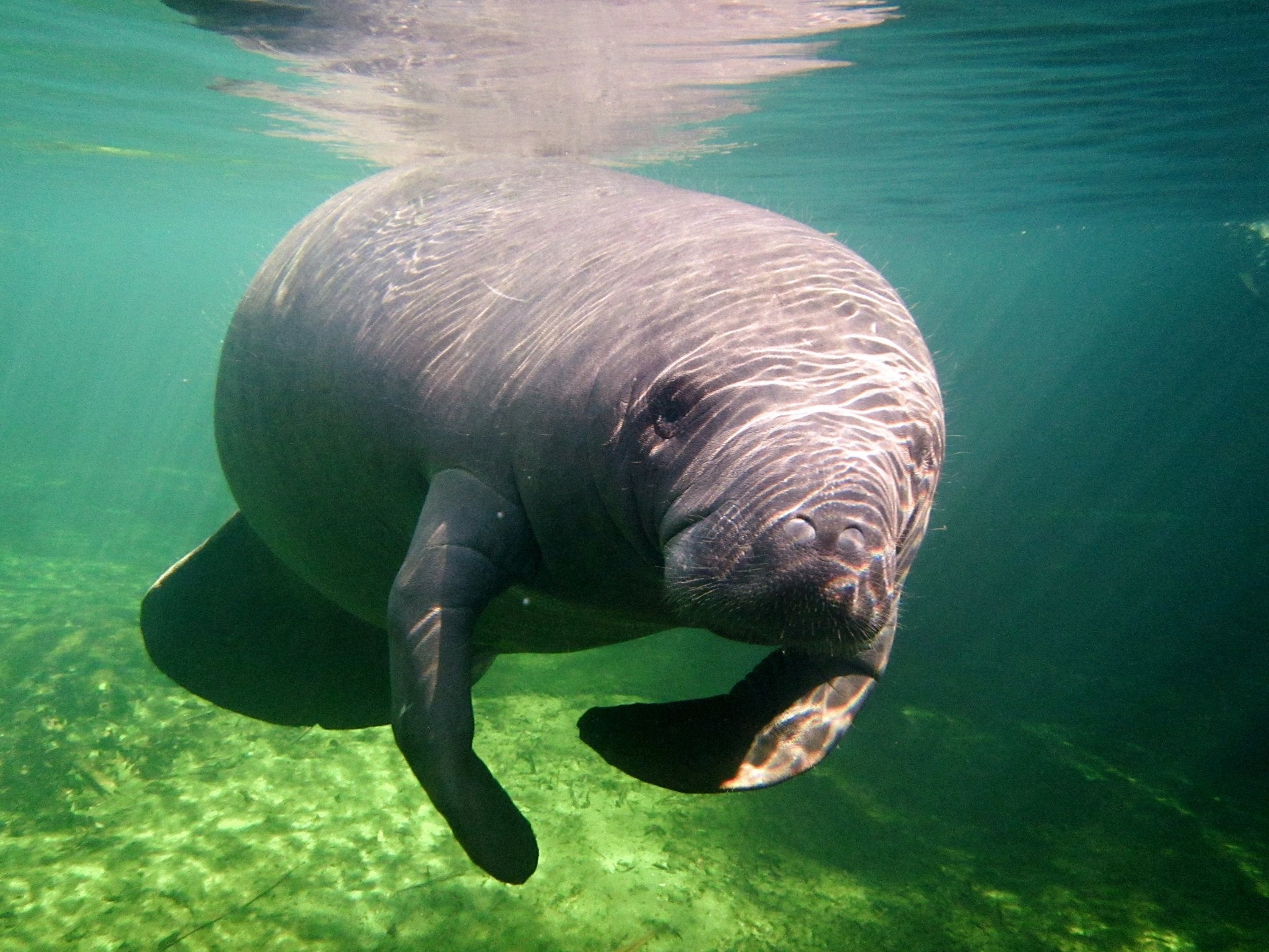 www.floridastateparks.org