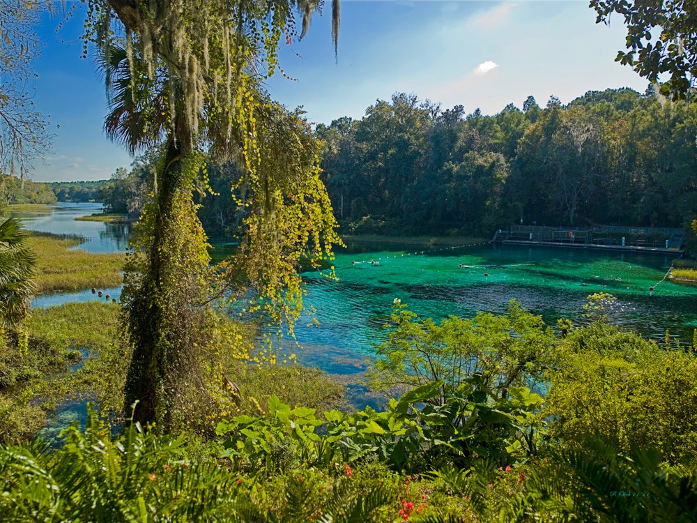 Spring Time  Florida State Parks