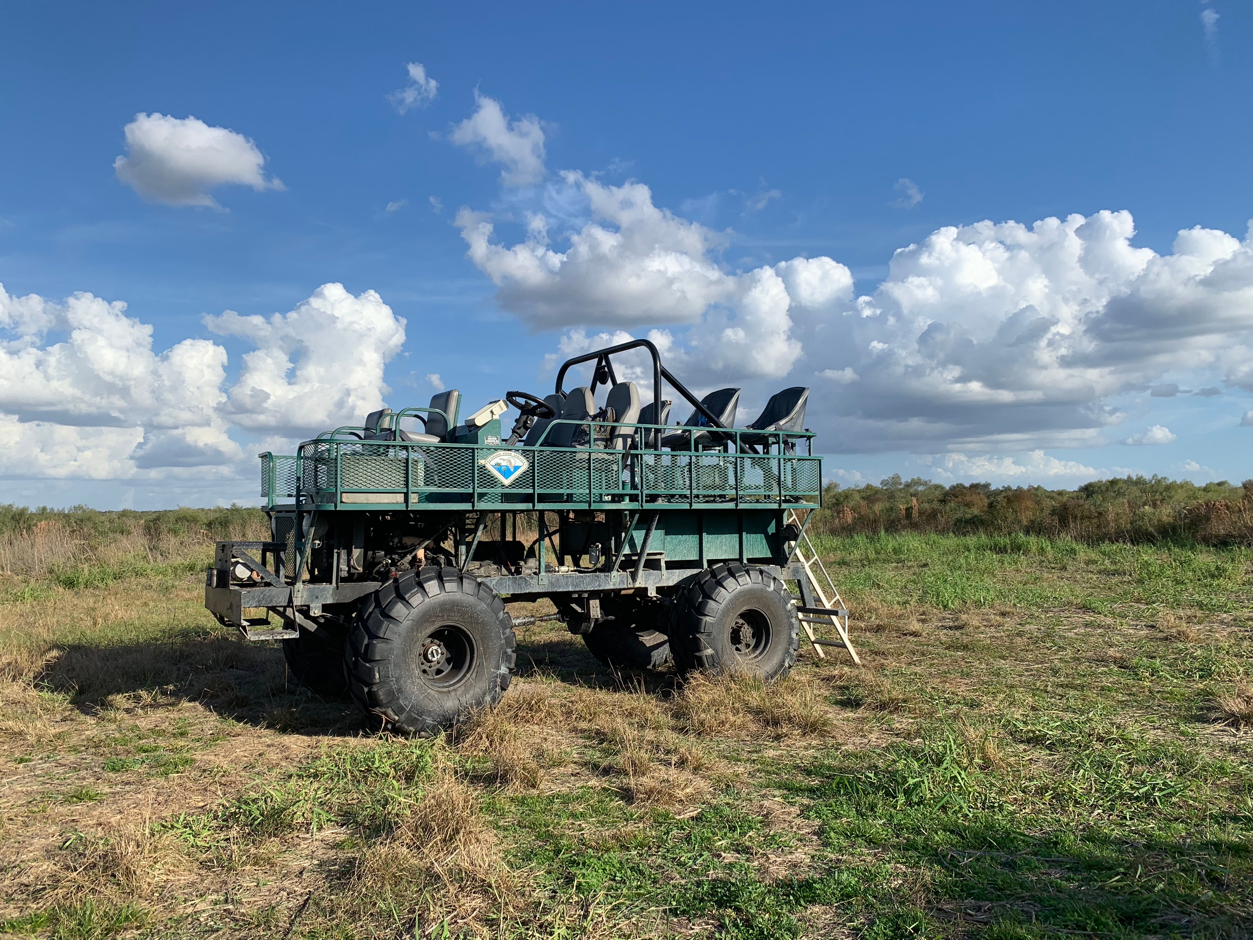 swamp buggy rides
