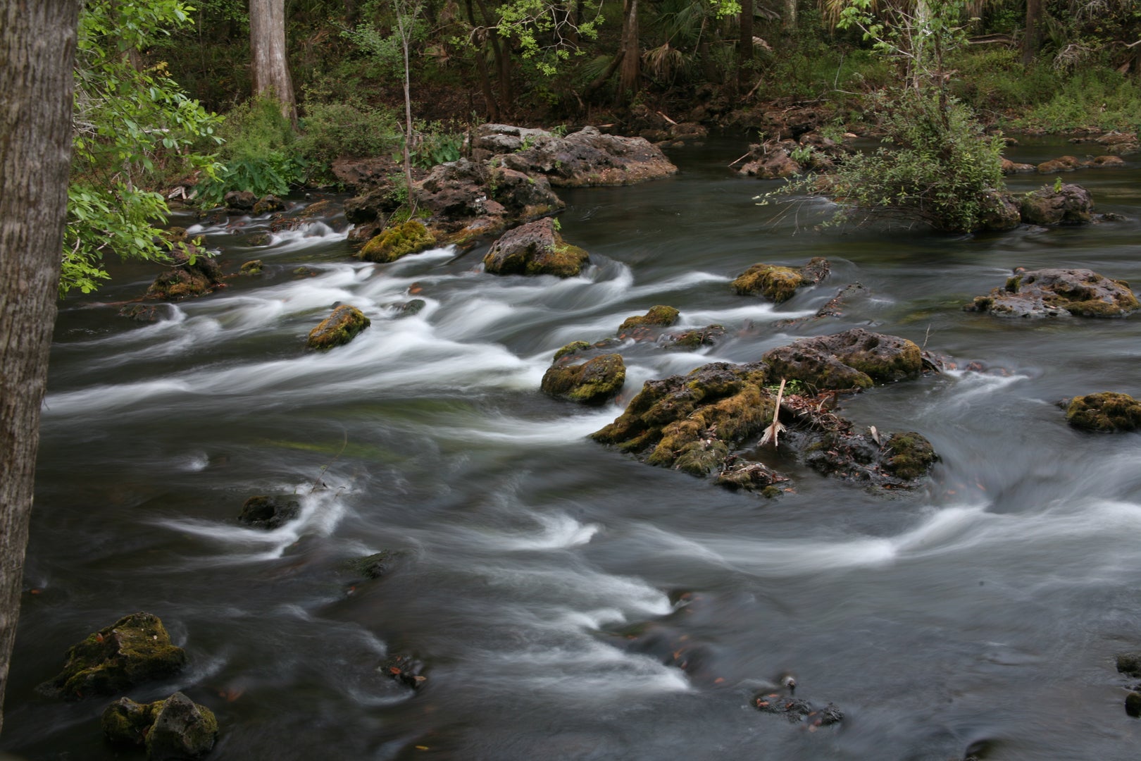 Hillsborough River Rapids