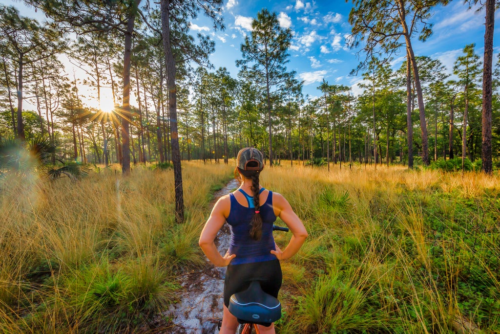 A woman stands over a bicycle, her back facing the camera, as she looks out over a sun-dappled forest at Wekiwa Springs State Park. 