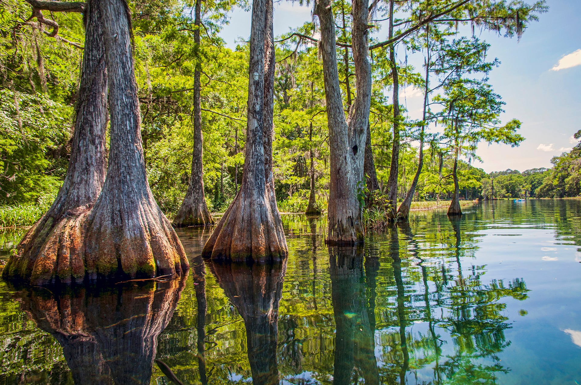 Rainbow Springs State Park.