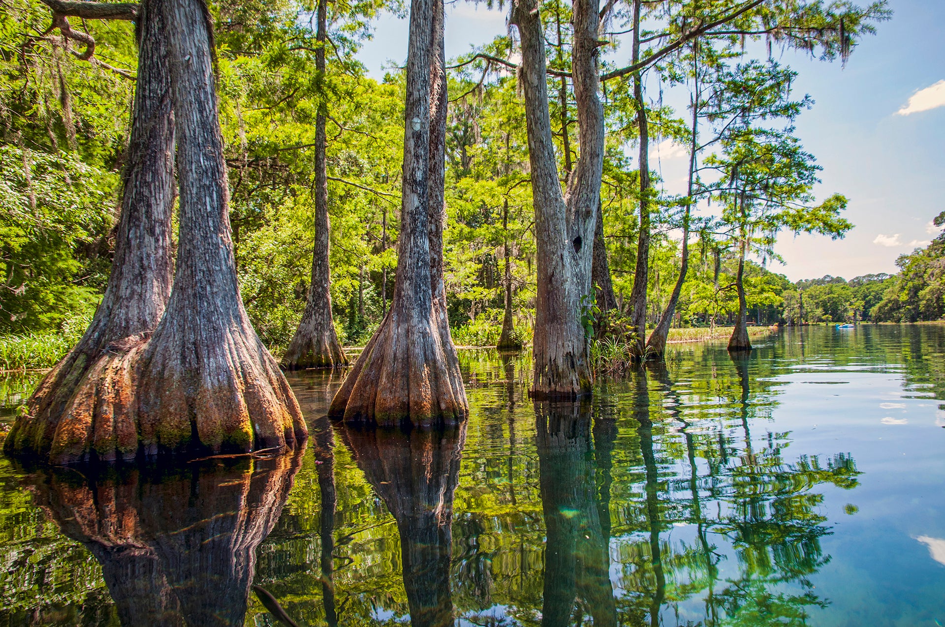 Rainbow Springs State Park. 