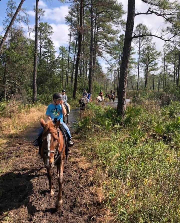 Horseback Riding at Lake Louisa