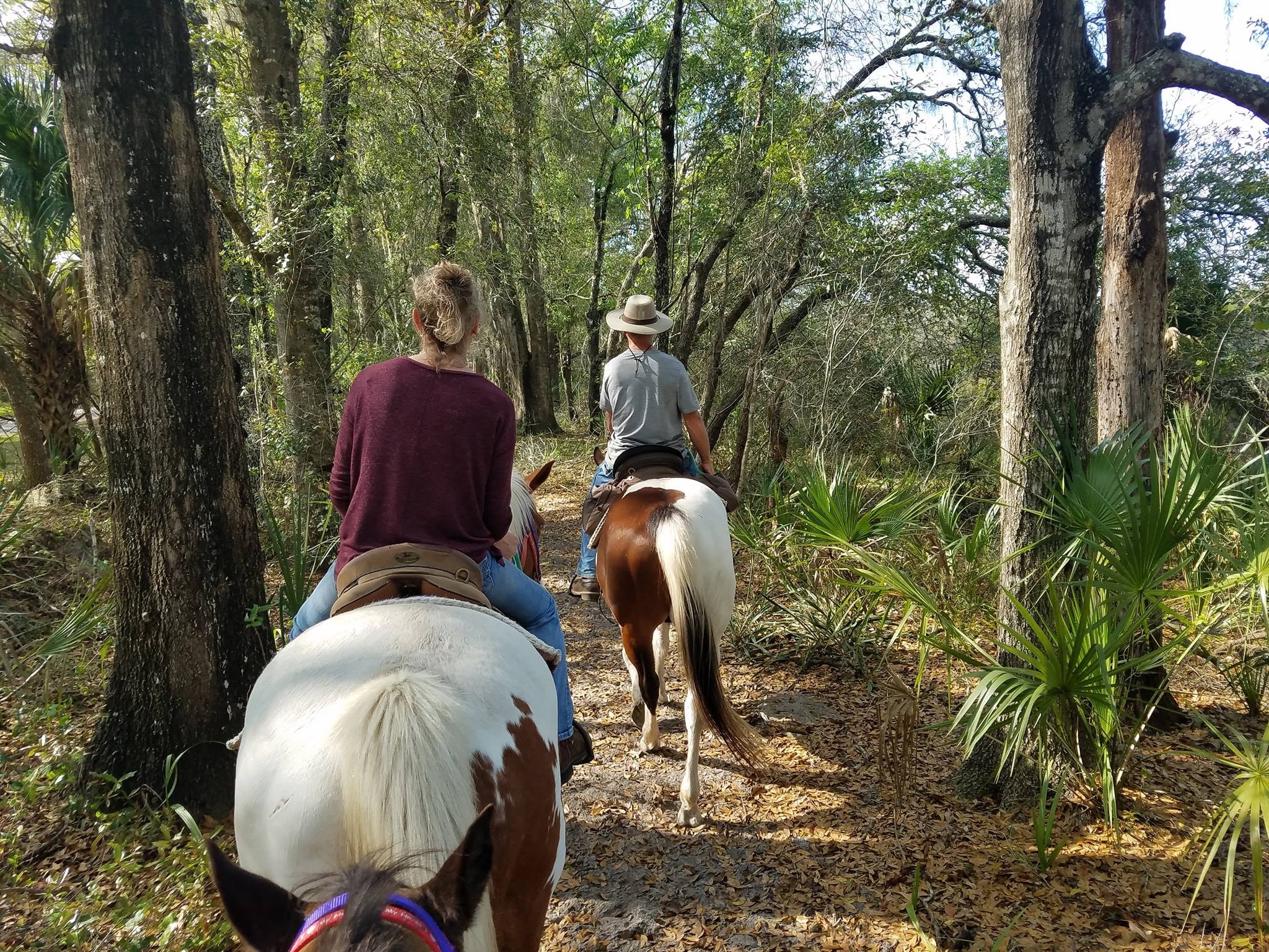 Horseback riding group riding through a wooded trail